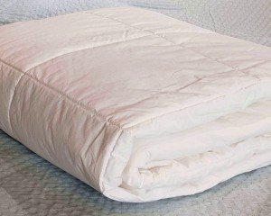 одеяло cotton bio comfort (200 × 220, хлопок, 200 гр/м2., 100% хлопок)